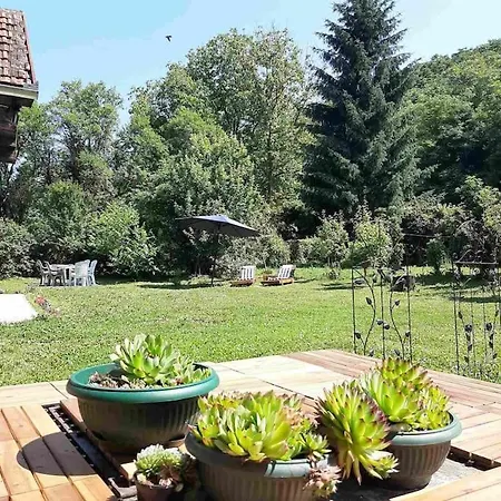 Fruskogorska Kuca - Andrevlje Lounge, Naselje Testera Holiday home *