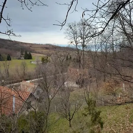 Fruskogorska Kuca - Andrevlje Lounge, Naselje Testera Holiday home *