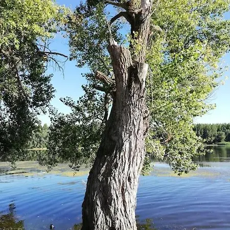 Fruskogorska Kuca - Andrevlje Lounge, Naselje Testera * Cerevic