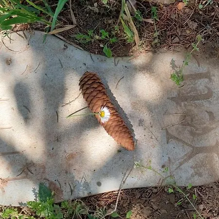 Fruskogorska Kuca - Andrevlje Lounge, Naselje Testera * Cerevic