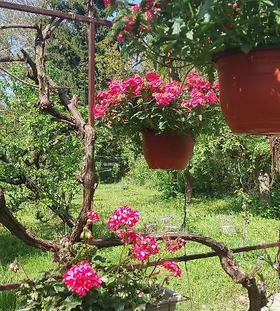 Fruskogorska Kuca - Andrevlje Lounge, Naselje Testera * Cerevic