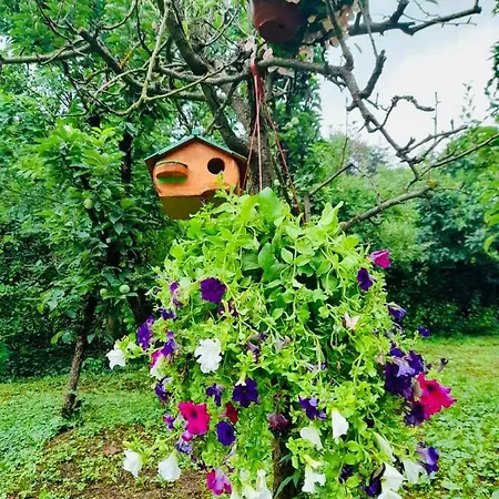 Fruskogorska Kuca - Andrevlje Lounge, Naselje Testera *