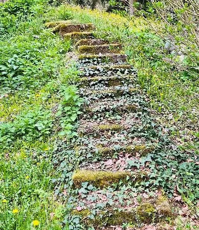 Fruskogorska Kuca - Andrevlje Lounge, Naselje Testera Prázdninový dům Cerevic