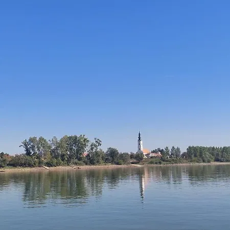 Prázdninový dům Fruskogorska Kuca - Andrevlje Lounge, Naselje Testera Cerevic