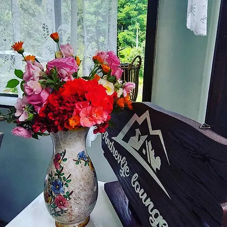 Prázdninový dům Fruskogorska Kuca - Andrevlje Lounge, Naselje Testera Cerevic