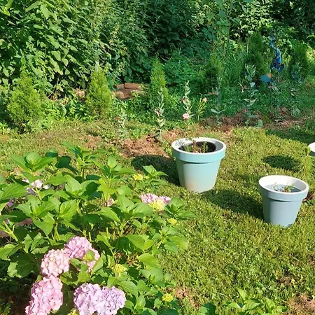 Fruskogorska Kuca - Andrevlje Lounge, Naselje Testera Holiday home Cerevic