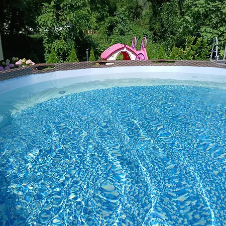 Fruskogorska Kuca - Andrevlje Lounge, Naselje Testera Holiday home Cerevic
